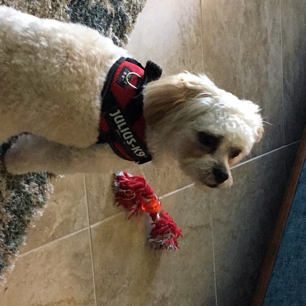 Meet your Posher, Lynn